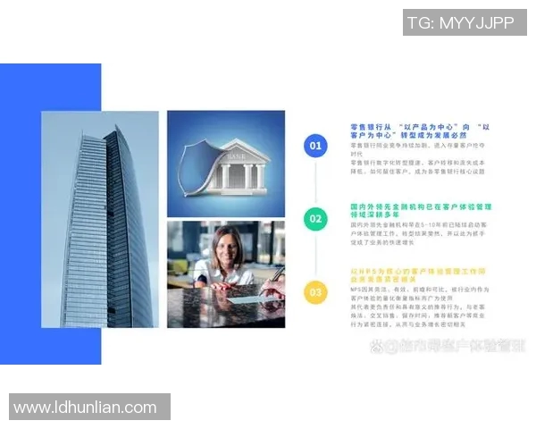 上海排球队的节奏革新探索与发展之路全景解析