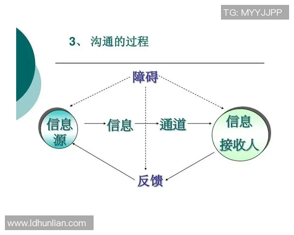 科学排球训练指南：提升耐力的有效方法与技巧分享